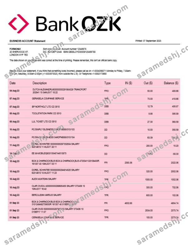 Bank of the Ozarks firm account statement Word and PDF template